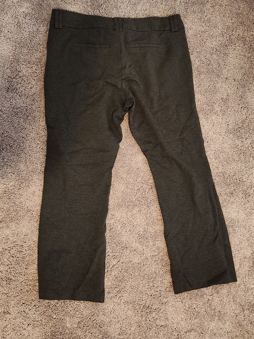 torrid Charcoal Straight-Leg Women's Dress Trousers-tall - Picture 3 of 4